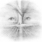 Created by thumbnail image