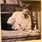 Created by thumbnail image
