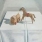 Created by thumbnail image