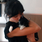 Created by thumbnail image