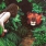 Created by thumbnail image