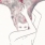 Created by thumbnail image