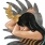 Created by thumbnail image