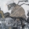 Created by thumbnail image