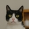 undefined thumbnail image