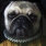 Created by thumbnail image