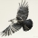 Created by thumbnail image