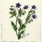 Created by thumbnail image