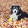 undefined thumbnail image
