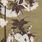 Created by thumbnail image