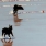 Created by thumbnail image
